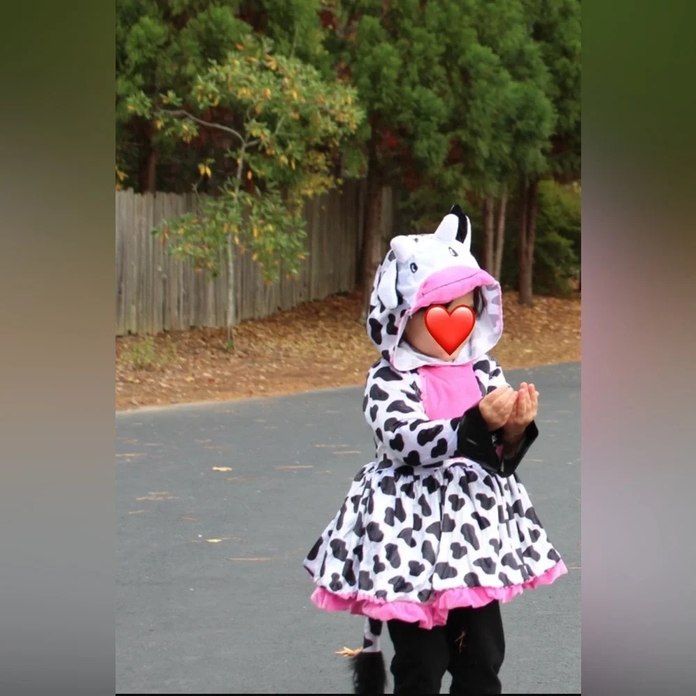 Kids halloween costume, Way to celebrate,  Mini Moo